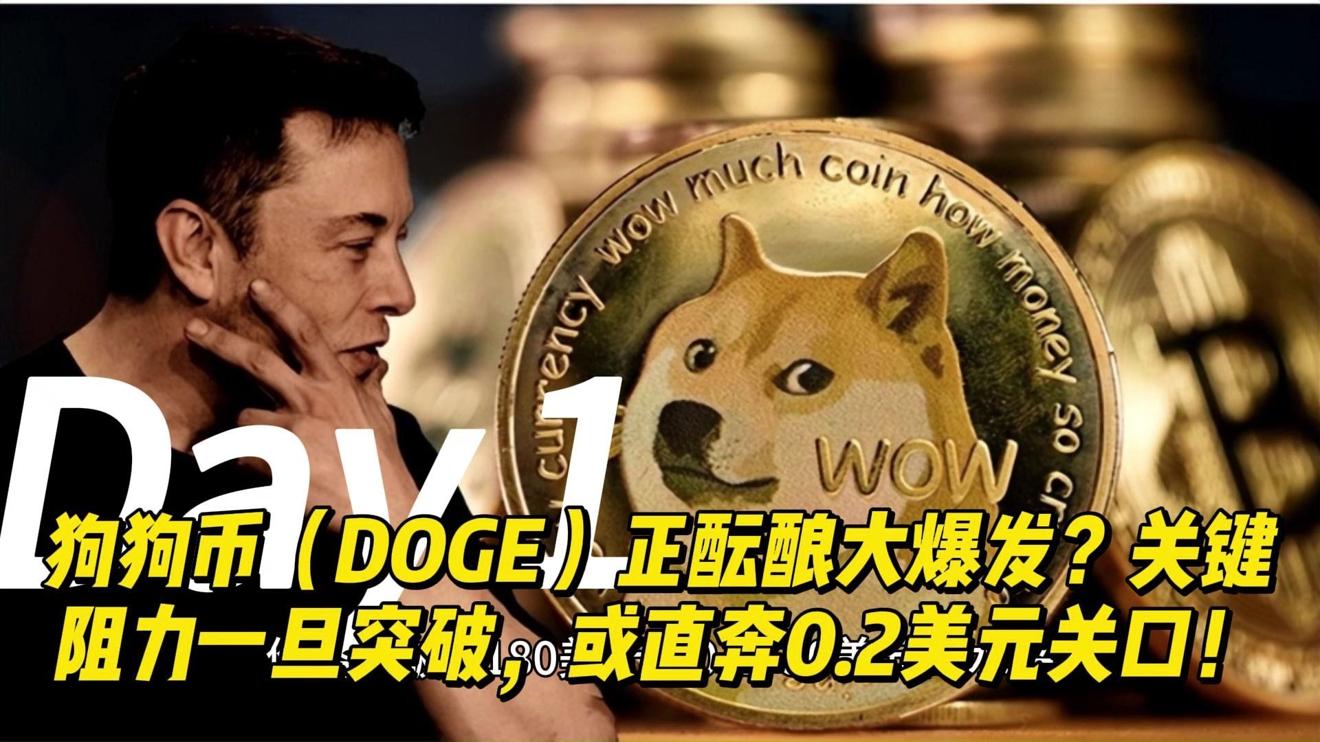 狗狗币官方发布与SEC携手，开启元宇宙新纪元！，引发热议